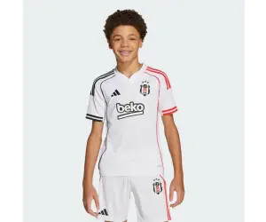 An Insight into Besiktas FC: Turkey’s Football Icon