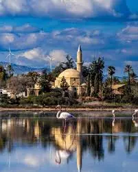 Exploring Larnaca: Cyprus’ Beautiful Coastal City
