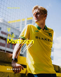 The Artistic Journey of Pelle Mattsson