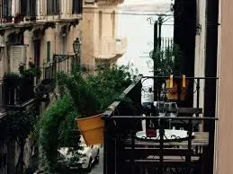 Discovering Roma: A City of History and Culture