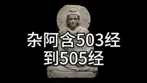 翻译行业的最新发展与未来趋势