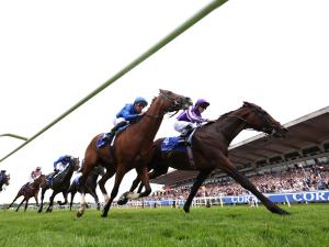 At the Races: Horse Racing and Its Impact on Society