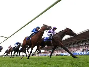 At the Races: Horse Racing and Its Impact on Society