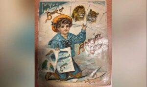 Understanding BBC Newsround: A Key Resource for Young Minds