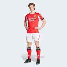 The Legacy and Current Rise of Benfica FC