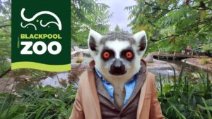 Discover the Wonders of Blackpool Zoo