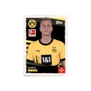 Borussia Dortmund: A Look at Their Recent Season Performance