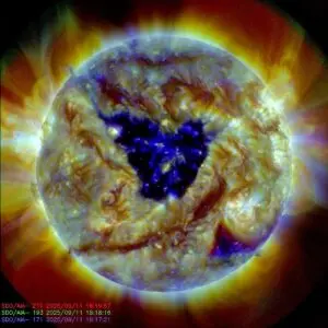 Exploring the Butterfly Shaped Hole on the Sun