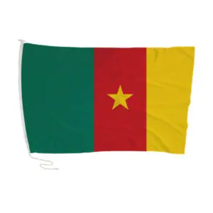 Exploring Cameroon: Its Culture, Challenges, and Promise