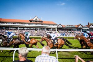 All You Need to Know About Chester Races
