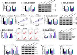 Understanding Colorectal Cancer: Symptoms, Prevention, and Treatments