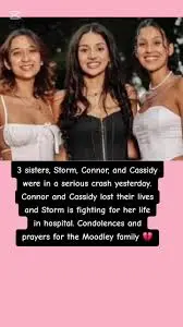 The Rise of Connor and Cassidy Moodley in the Media Landscape