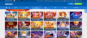 The Rise of Crickex in Online Cricket Betting