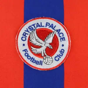The Rise and Impact of Crystal Palace F.C in the Premier League