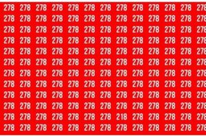 The Daily Record: Essential News and Insights