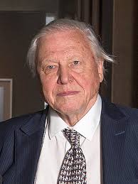 The Enduring Influence of David Attenborough