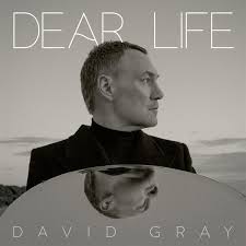 Exploring the Musical Journey of David Gray
