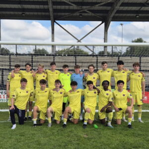 The Rise and Current Status of Dorking Wanderers Football Club