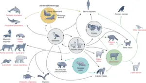The Significance of H5N1 Avian Influenza in 2023