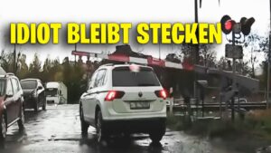 The Social Consequences of Being Called an Idiot