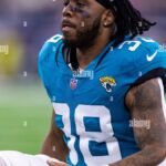 Understanding the Role of Jaguars in Our Ecosystems