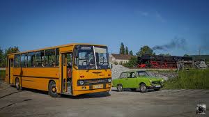 Kevin: A Name Resonating Through Popular Culture in 2023