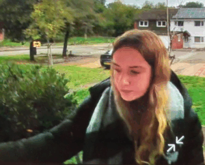 Lilly Higgins Missing: Investigations and Community Response