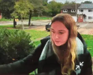 Lilly Higgins Missing: Investigations and Community Response