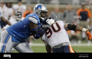 Lions vs Bears: A Comparative Analysis of Two Iconic Animals