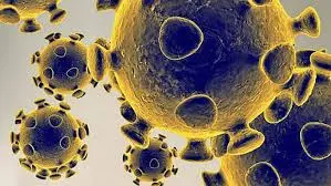 Understanding the New COVID Strain: Implications and Insights