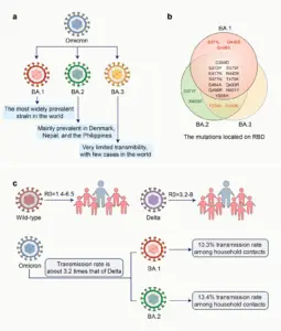 Understanding the New Covid Variant and Its Impact