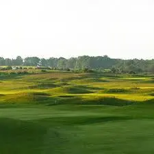 The Legacy of Nick Faldo in Professional Golf
