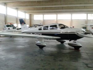 The Rise of Pajor: Trends in Digital Art Worth Noticing