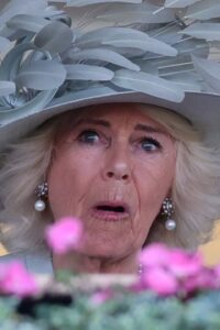 Exploring Queen Camilla’s Influence and Duties