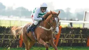 The Importance of Racing Post in Horse Racing Coverage