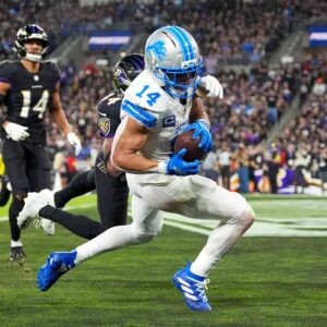 Ravens vs Lions: Key Highlights and Analysis
