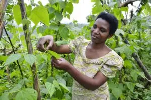 Rwanda: A Beacon of Growth and Resilience in Africa