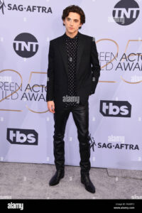 The Phenomenon of Timothée Chalamet in Modern Cinema