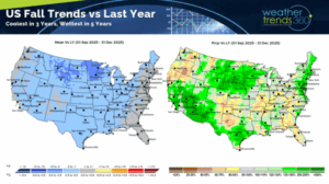 Current Tokyo Weather: An Overview and Forecast