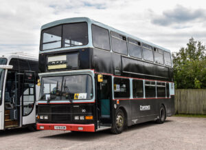 Discover the Wonders of Twycross Zoo