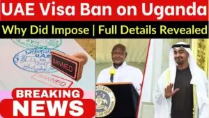 Understanding the Impact of the UAE Visa Ban