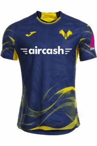 The Story Behind Verona FC: From Glory to Recovery