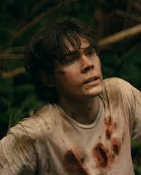 The Wayward Cast: A Netflix Series That Captivated Audiences