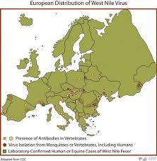 The Importance of Awareness About West Nile Virus