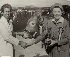 Highlights from the Westmorland Show 2023