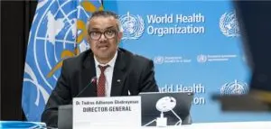 The Role and Impact of the World Health Organization