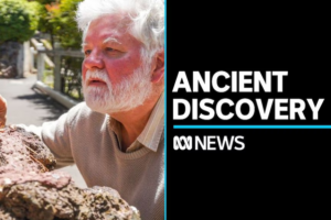 The Importance of ABC News in Today’s Media Landscape