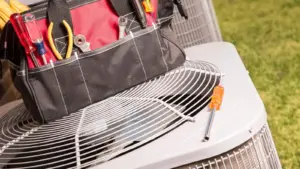 The Crucial Role of Action in Shaping Our Future