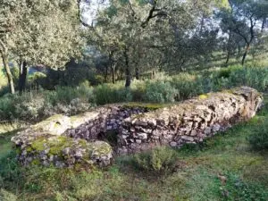 Discovering the Charm of Adamuz, Spain