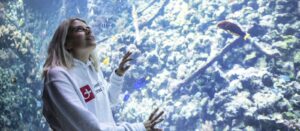 Exploring Antwerp: The Cultural Heart of Belgium